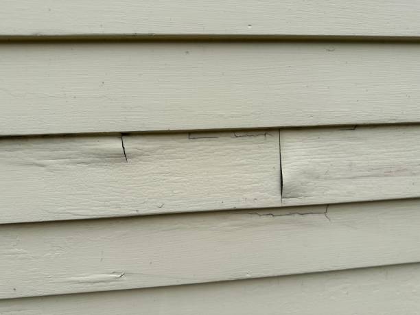 How To Choose The Right Materials for Your Siding Installation in 'Clay, AL